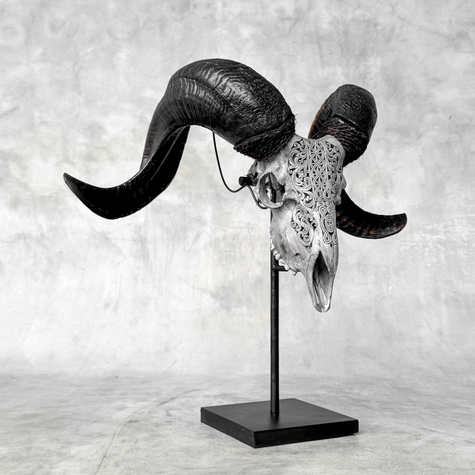 Carved grey ram skull - Infinity motif - 10