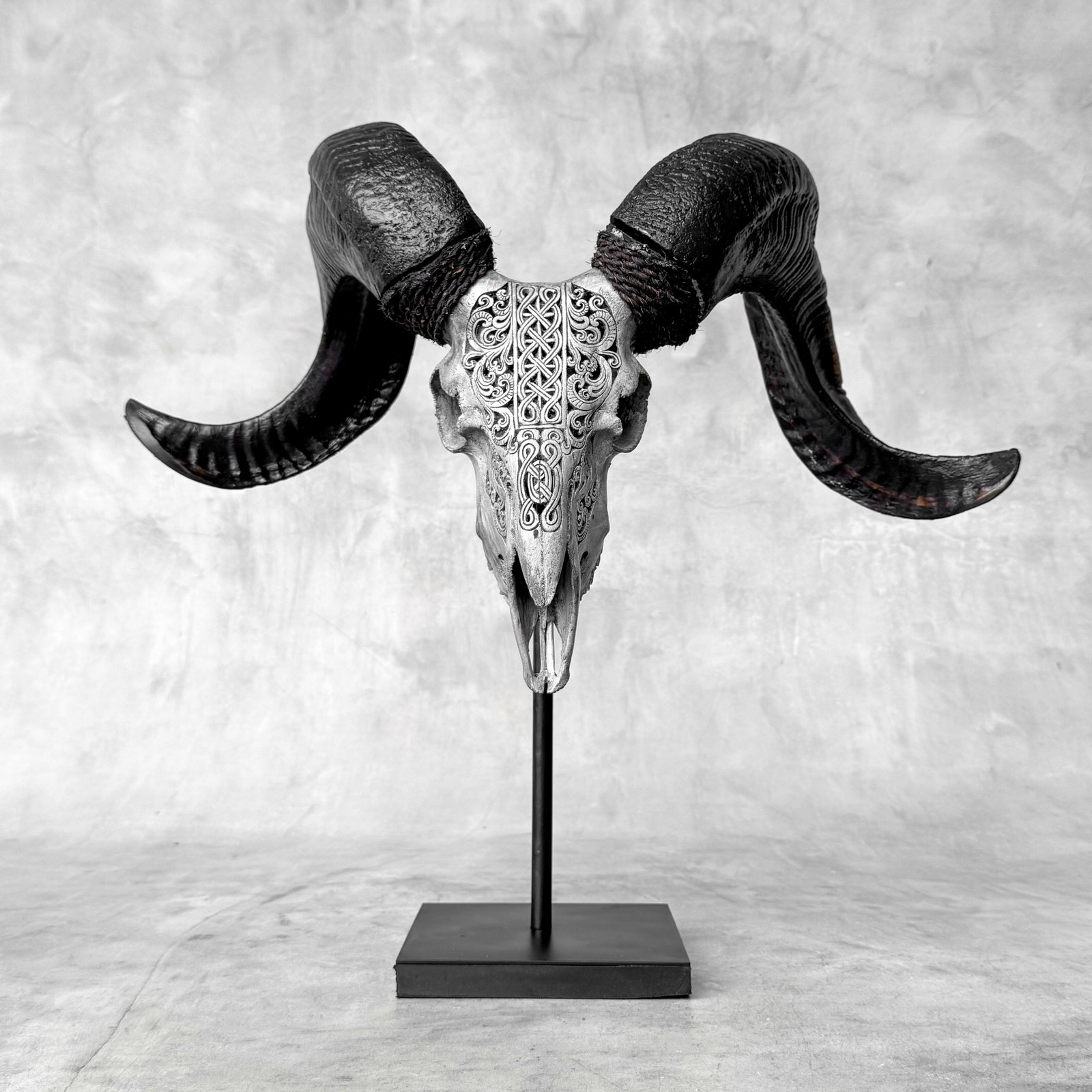 Carved grey ram skull - Infinity motif - 3