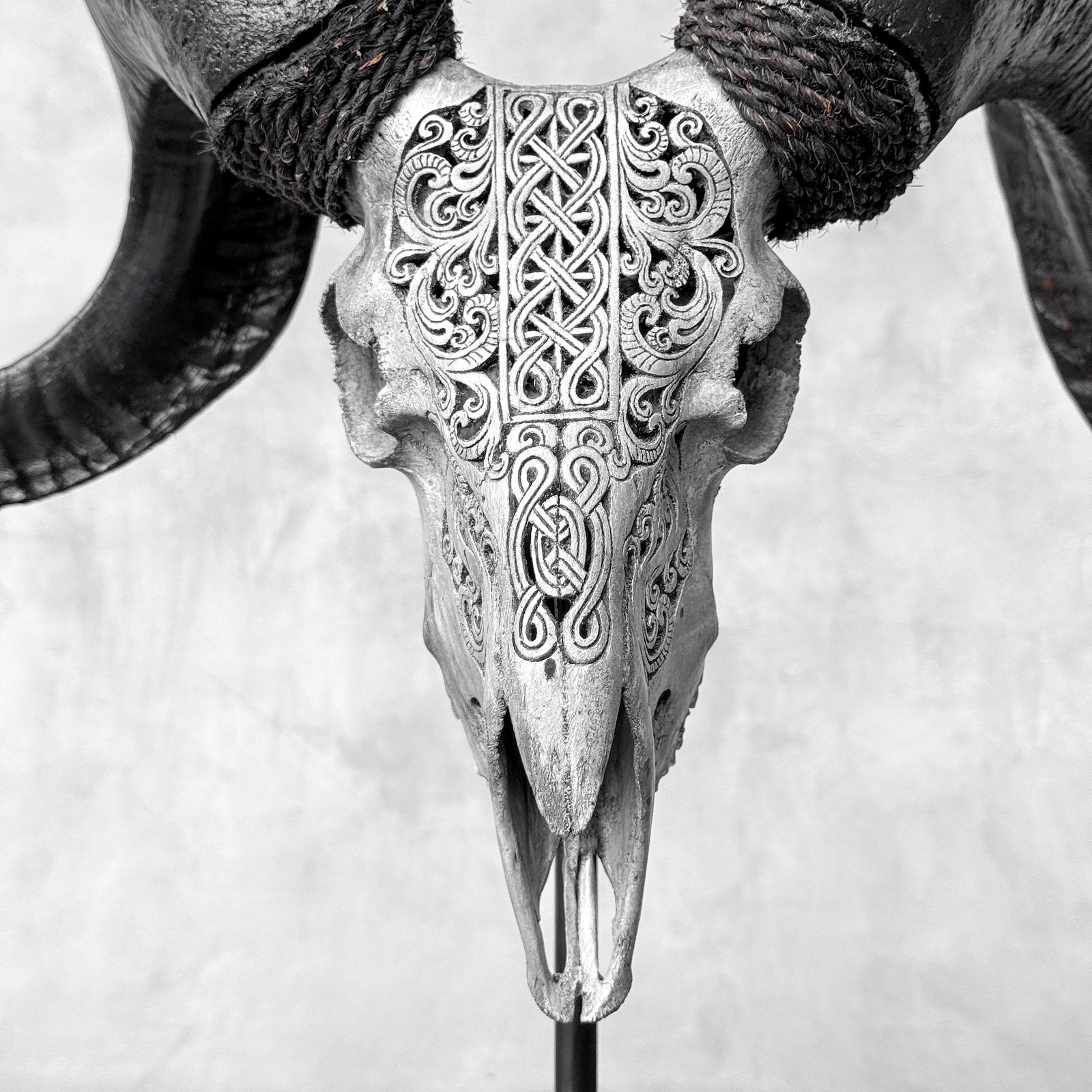 Carved grey ram skull - Infinity motif - 4