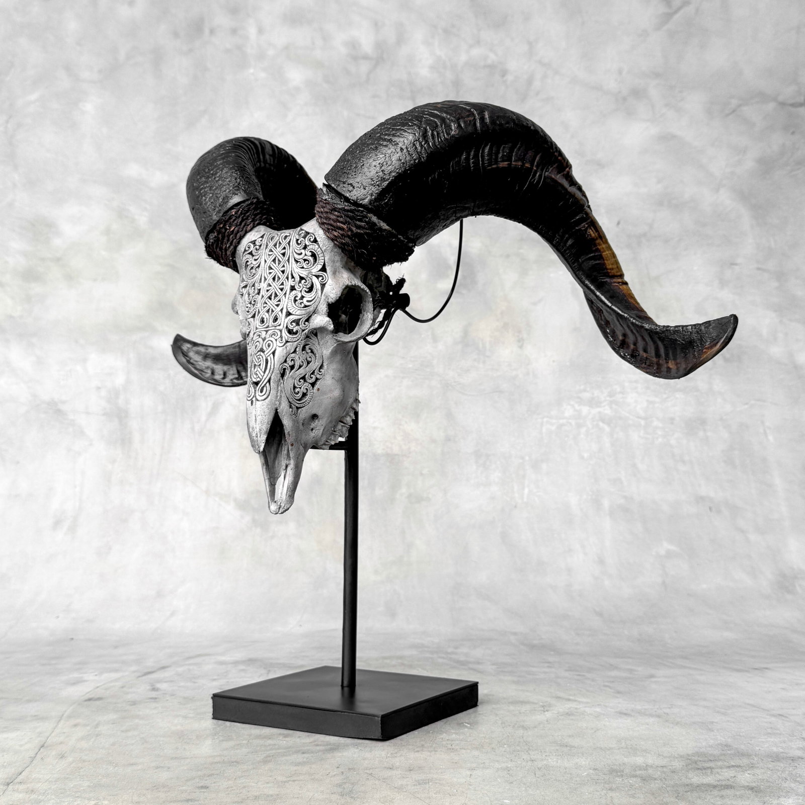 Carved grey ram skull - Infinity motif - 5