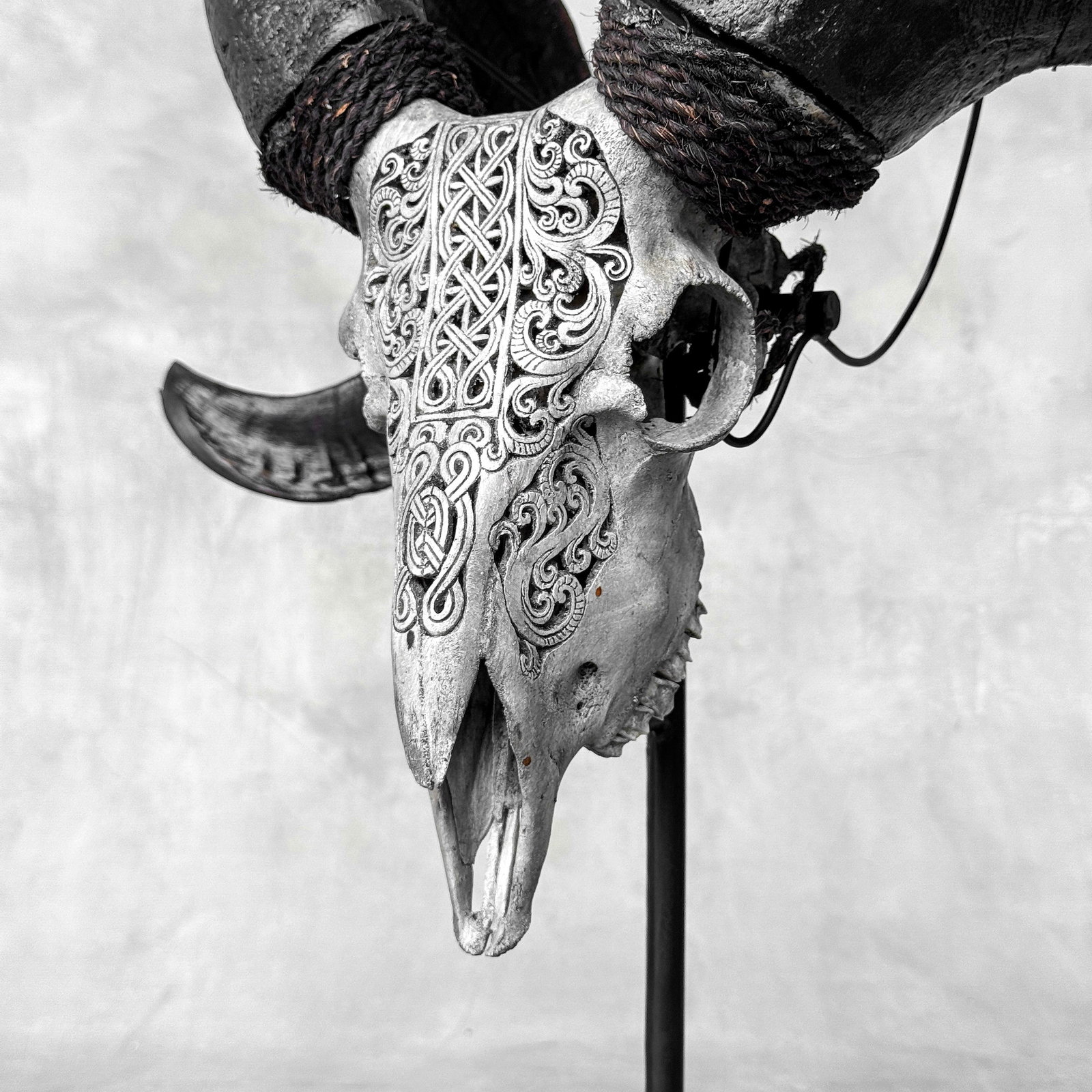 Carved grey ram skull - Infinity motif - 6