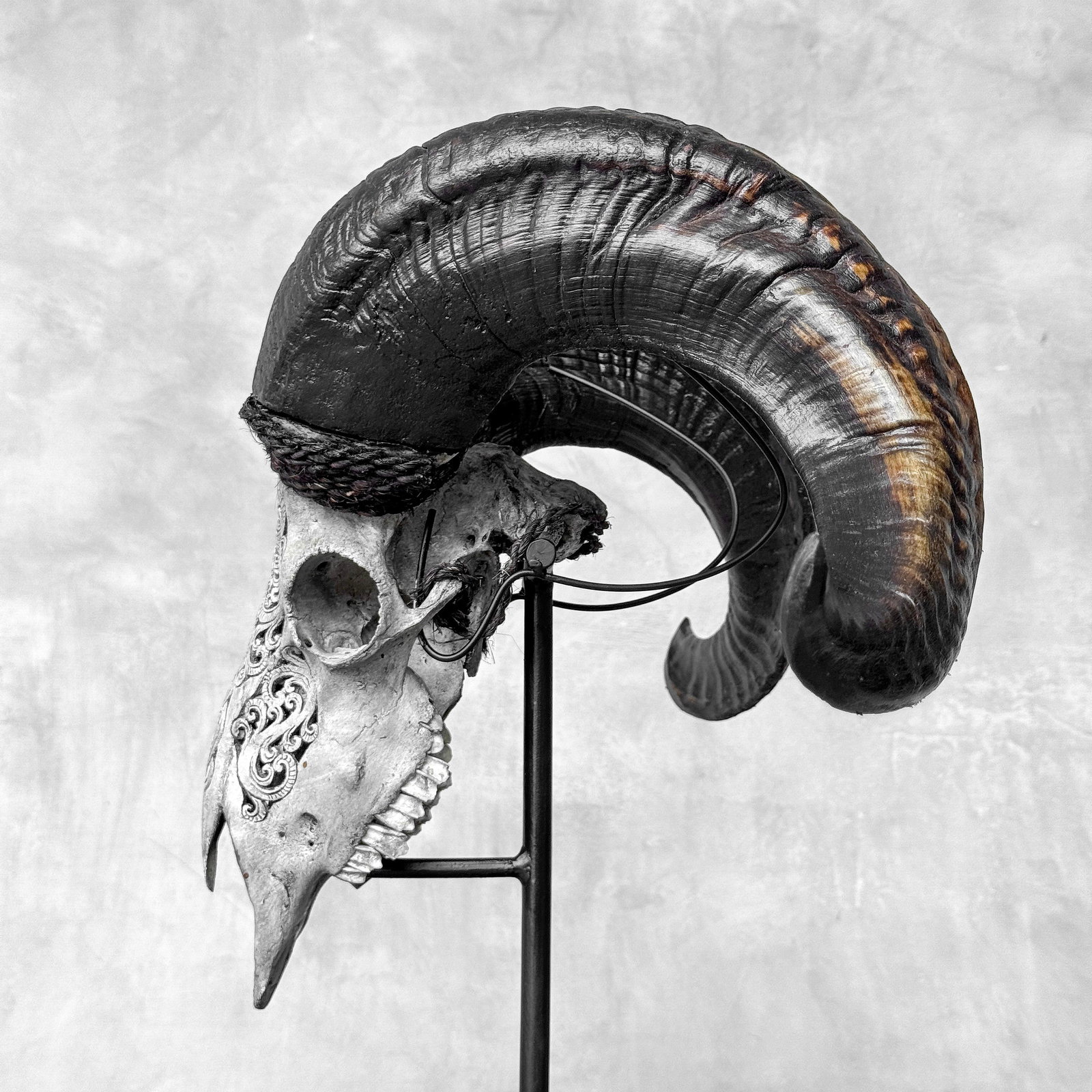 Carved grey ram skull - Infinity motif - 7