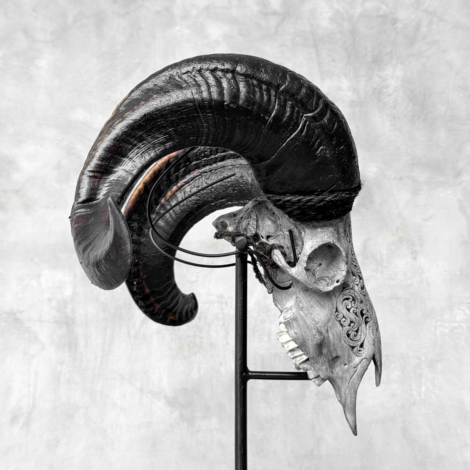 Carved grey ram skull - Infinity motif - 9