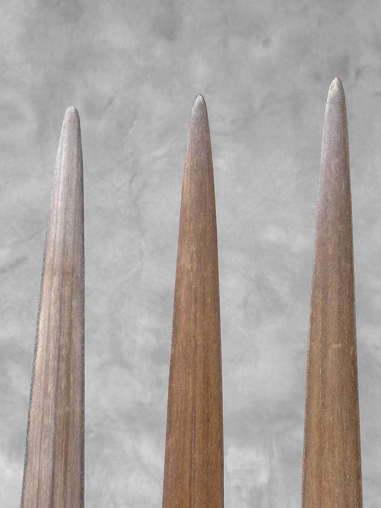 Swordfish tusk trio with custom stands - 10