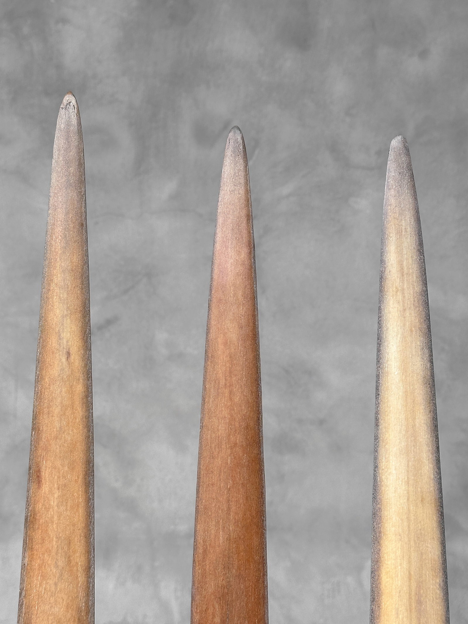 Swordfish tusk trio with custom stands - 8