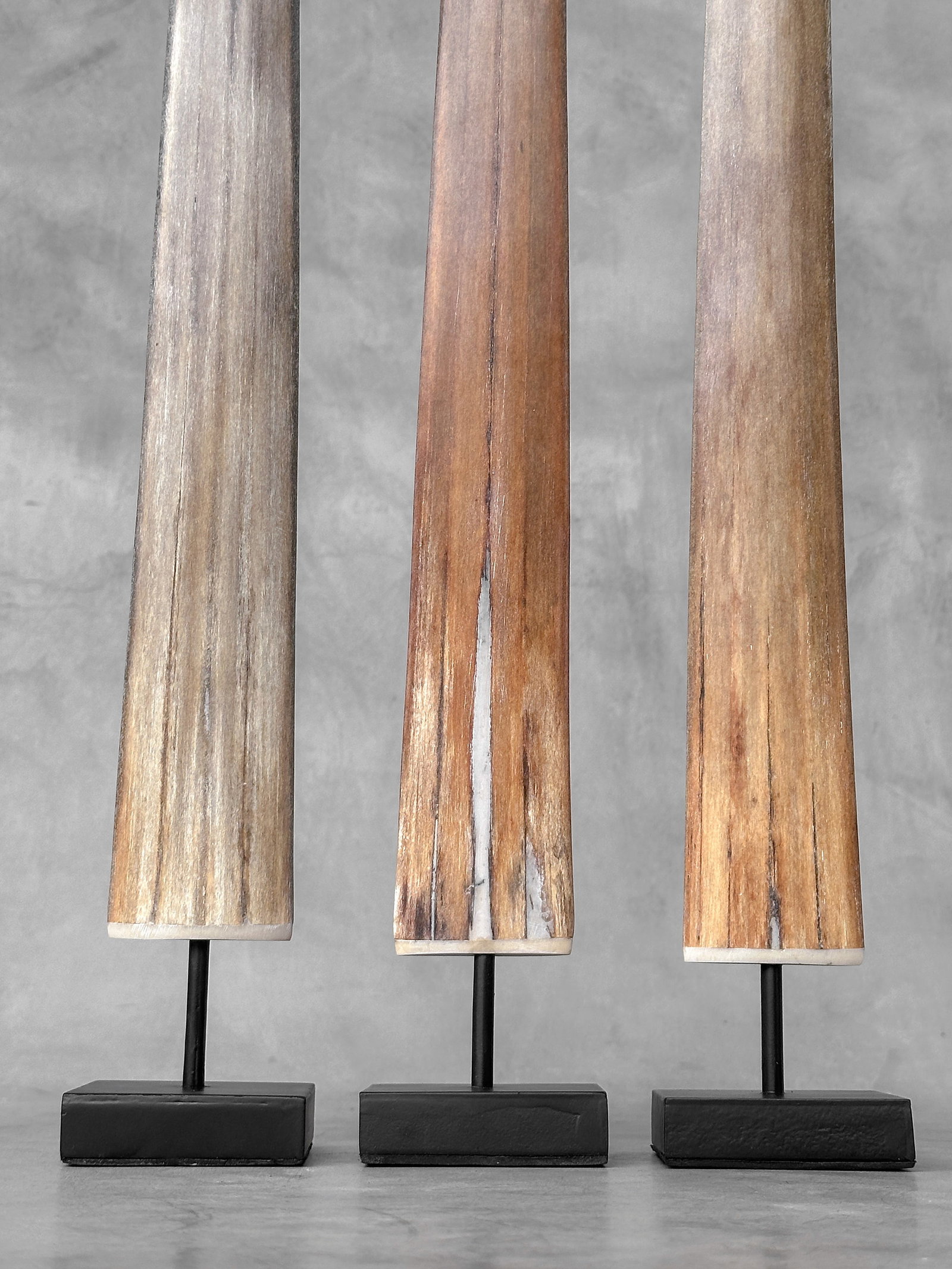 Swordfish tusk trio with custom stands - 9