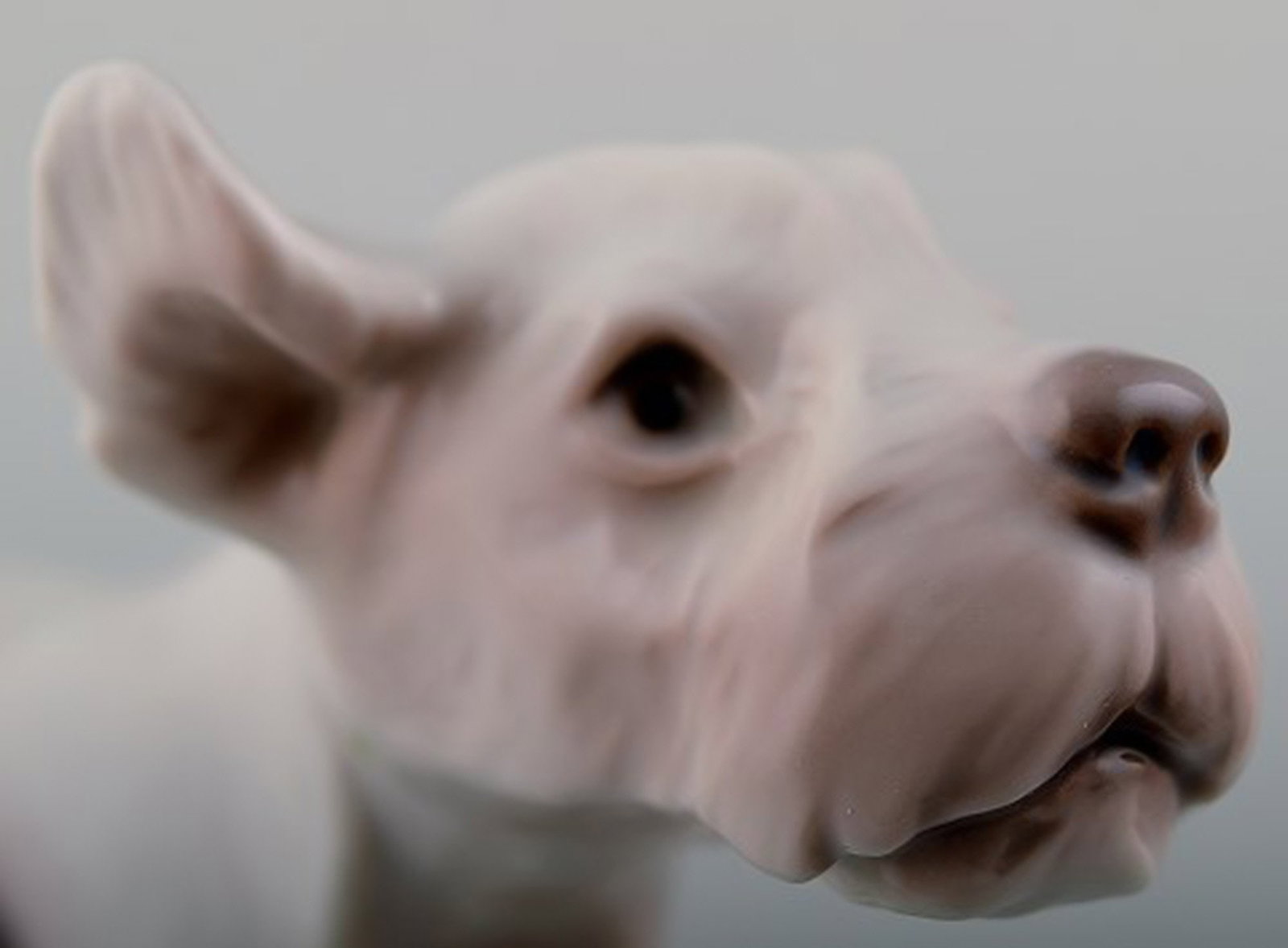 Bing and Grondahl B&G, no. 2028. Sealyham Terrier puppy. - 3