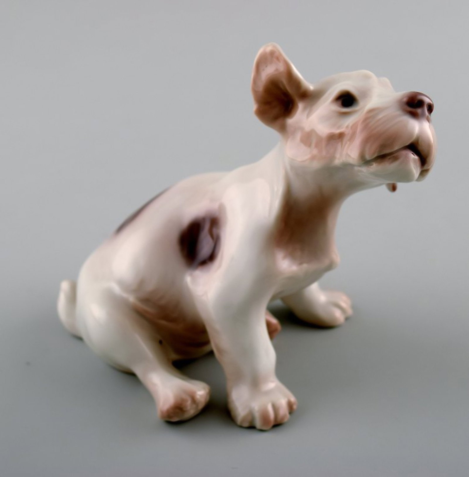 Bing and Grondahl B&G, no. 2028. Sealyham Terrier puppy. (1 of 5)