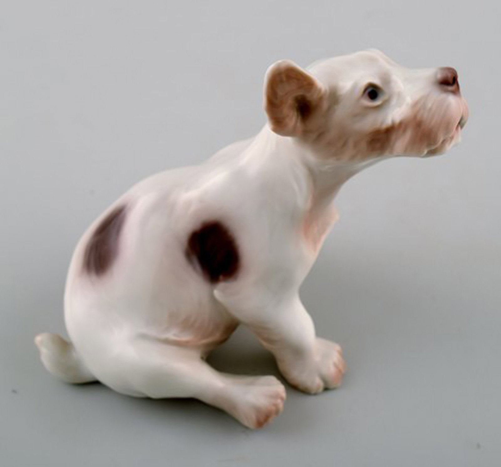 Bing and Grondahl B&G, no. 2028. Sealyham Terrier puppy. - 2