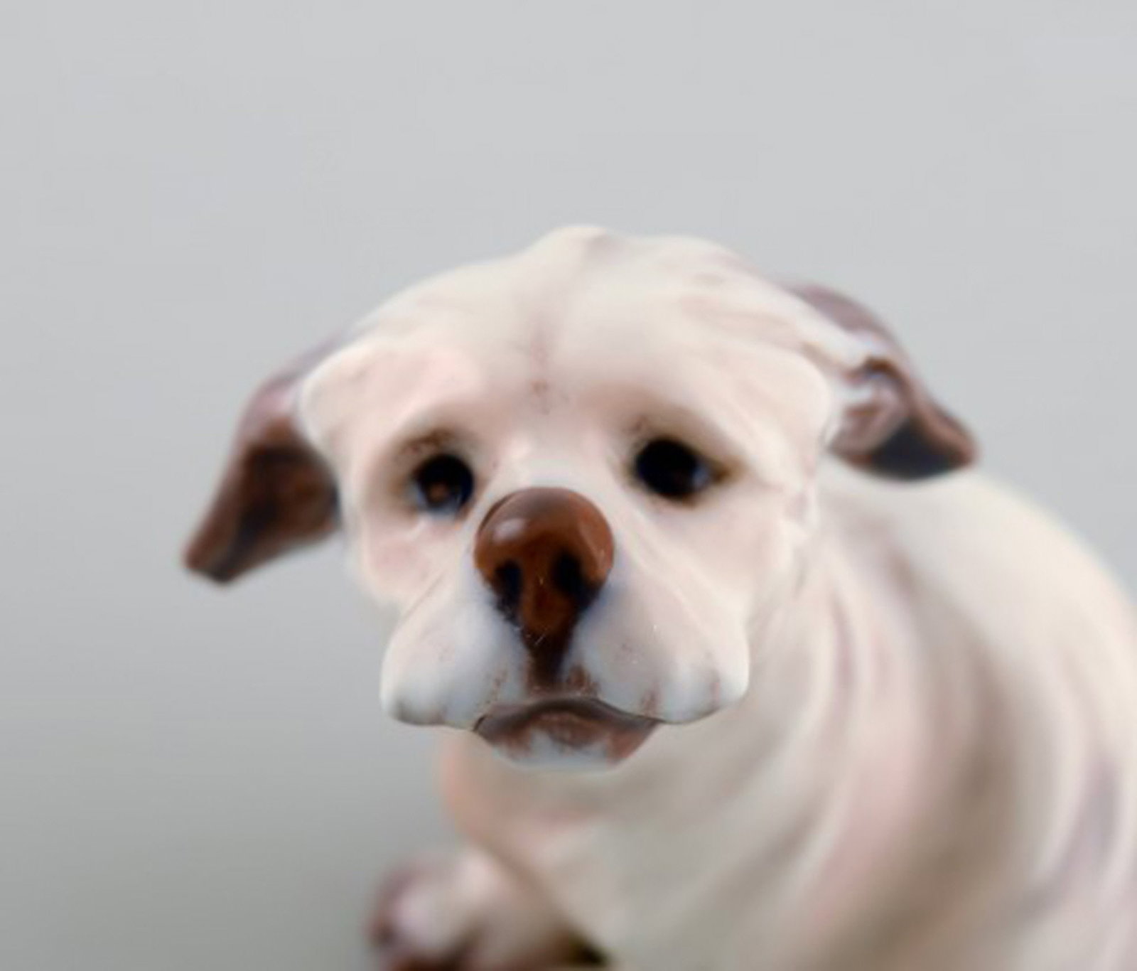 Dahl Jensen. Dog, Maltese. Model number 1120. - 4