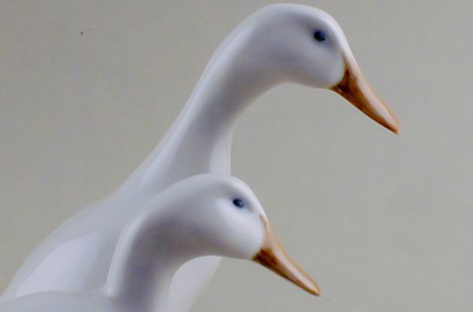 Royal Copenhagen figurine of two ducks. - 3
