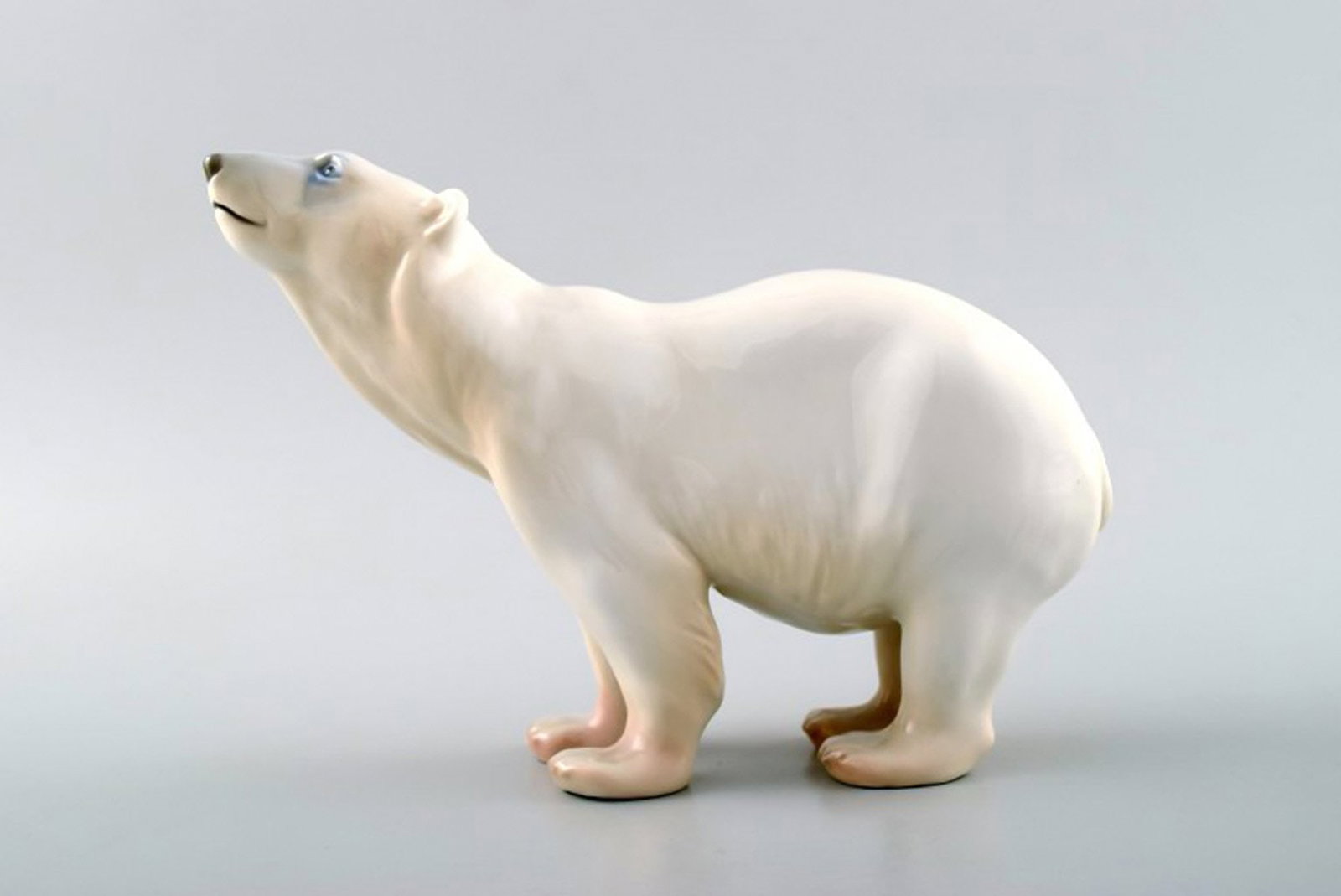 Polar bear sniffs, Bing and Grondahl. Number 1692. (1 of 4)
