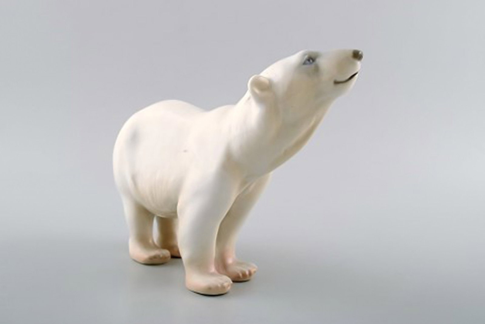 Polar bear sniffs, Bing and Grondahl. Number 1692. - 2
