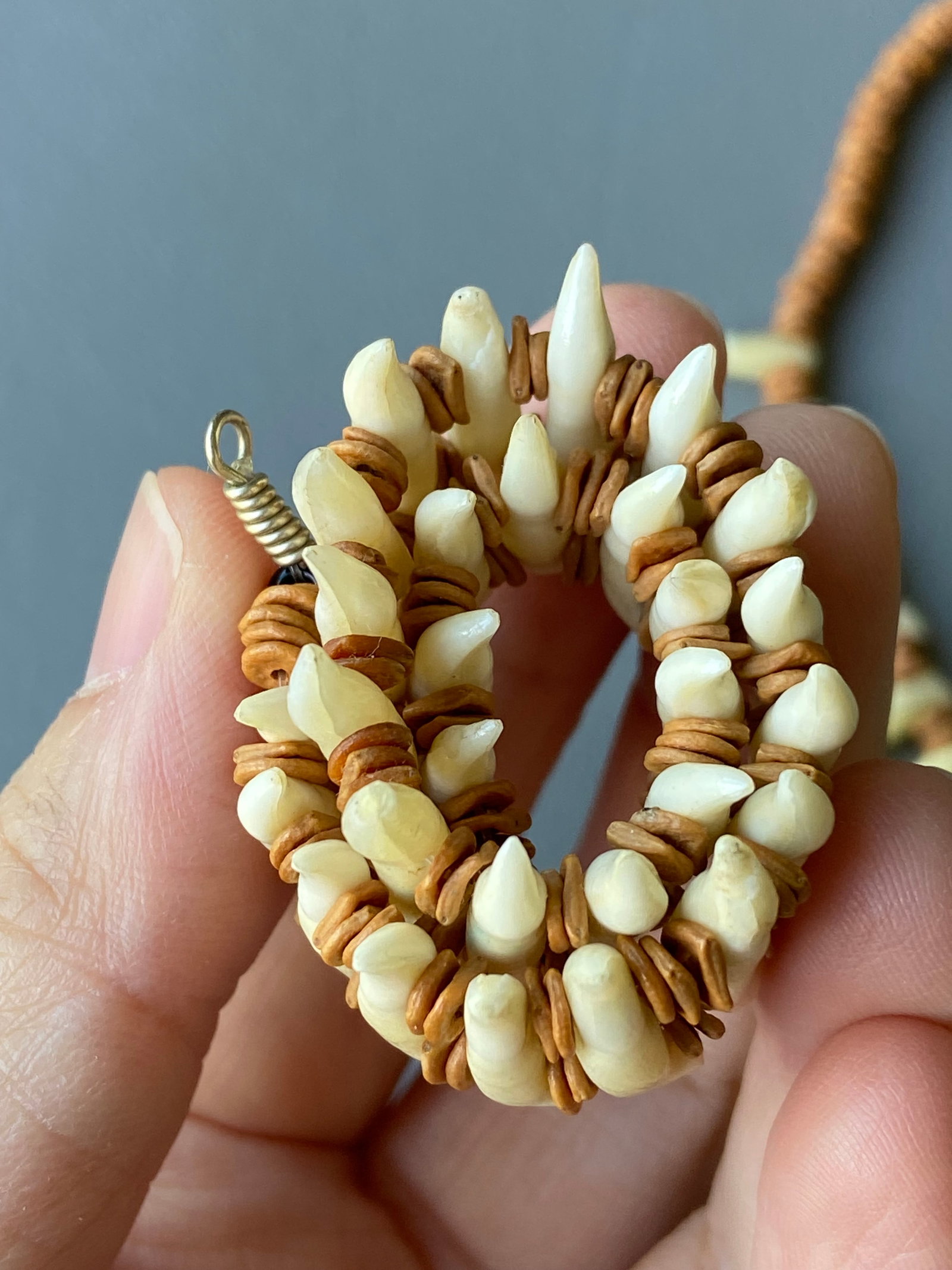 Vintage Tribal Necklace & Bracelet Set with Natural Animal Teeth - 10