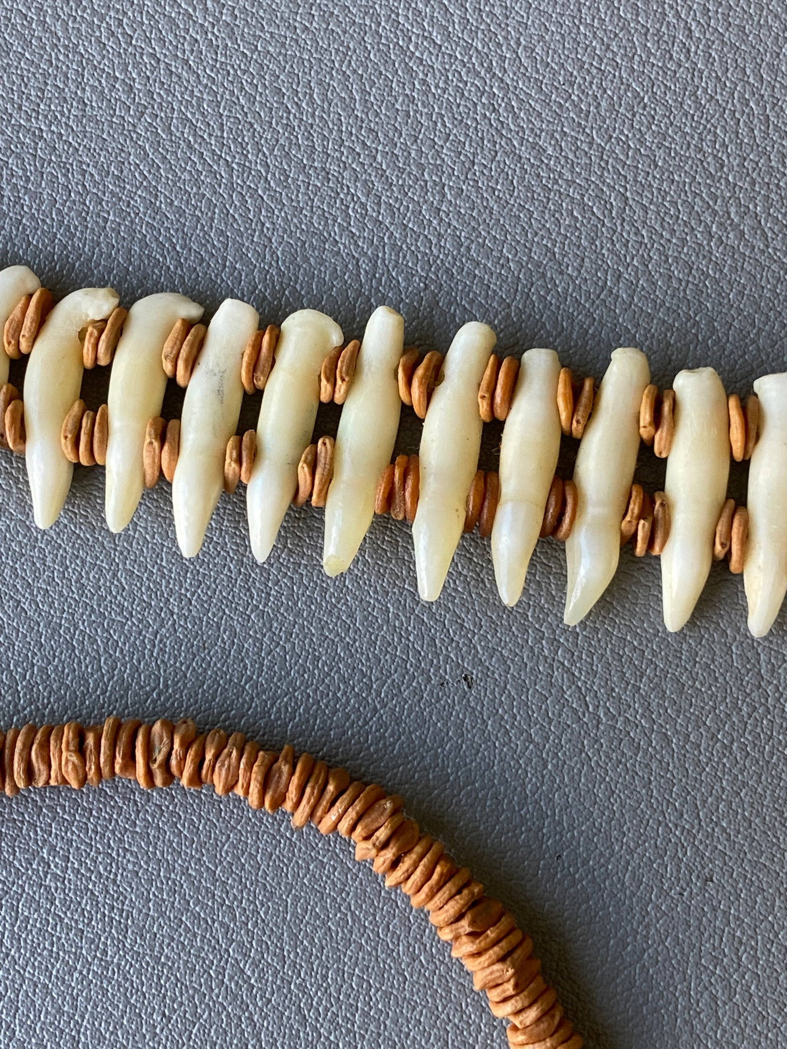 Vintage Tribal Necklace & Bracelet Set with Natural Animal Teeth - 6