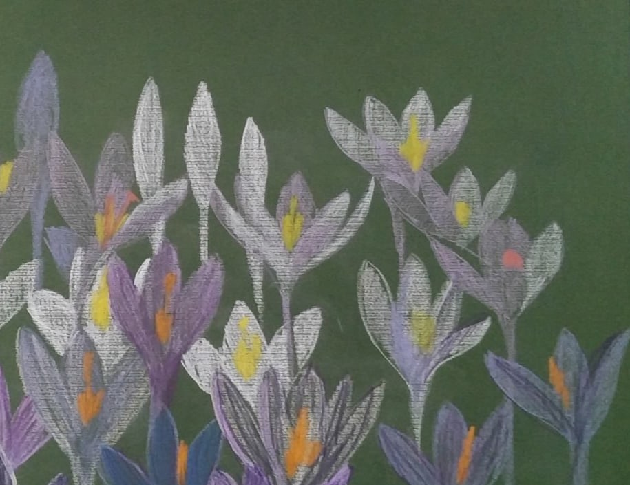 Oil painting Crocuses Nina L - 3