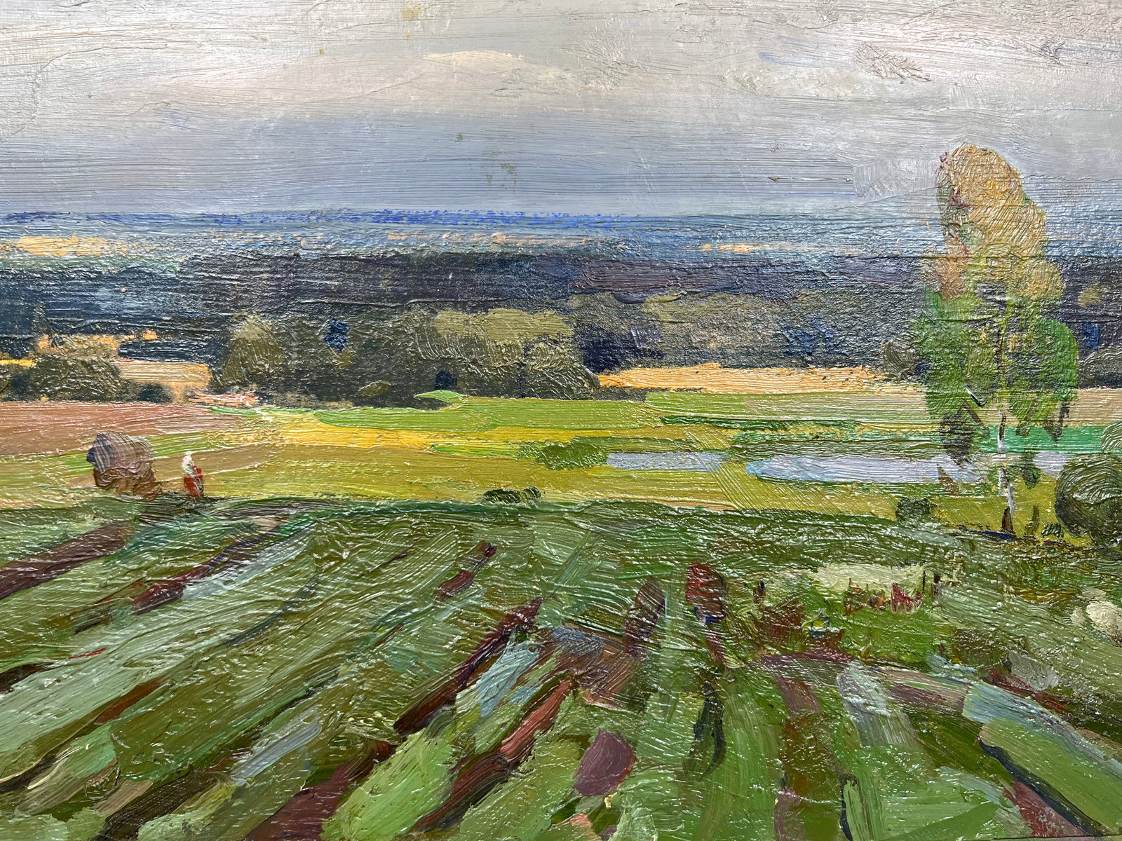 Oil painting Summer in Sednev Strelov A. - 8