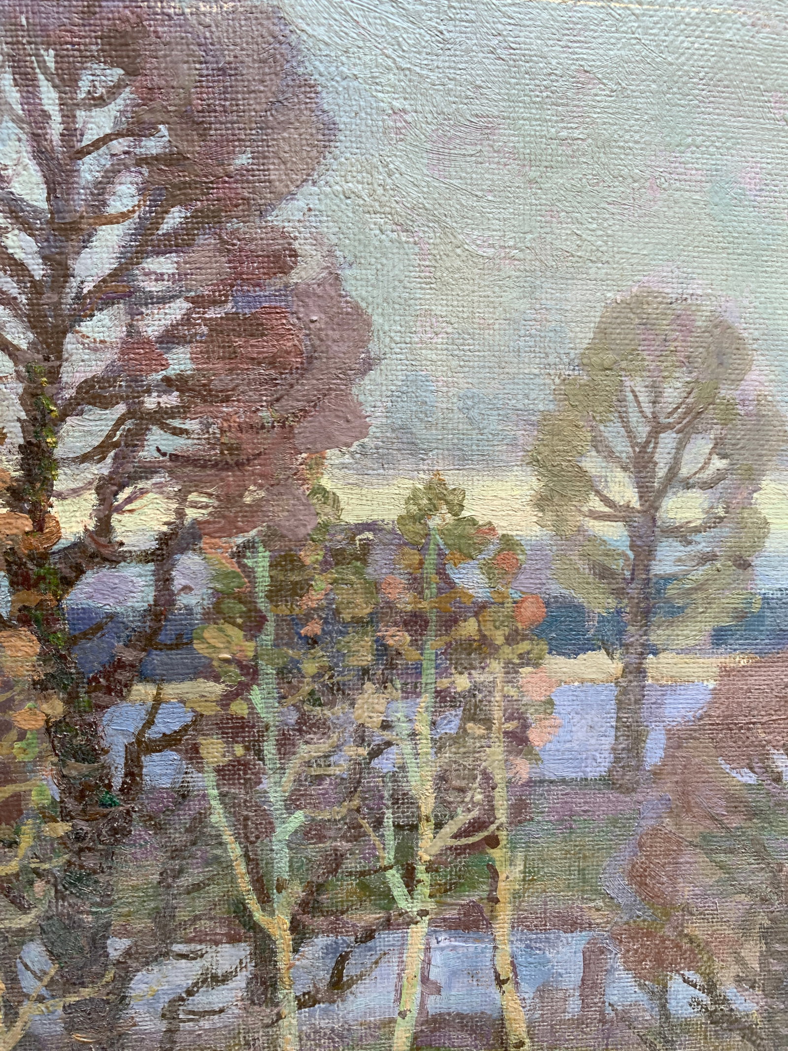 Oil painting Spring waters Ruban G. - 9