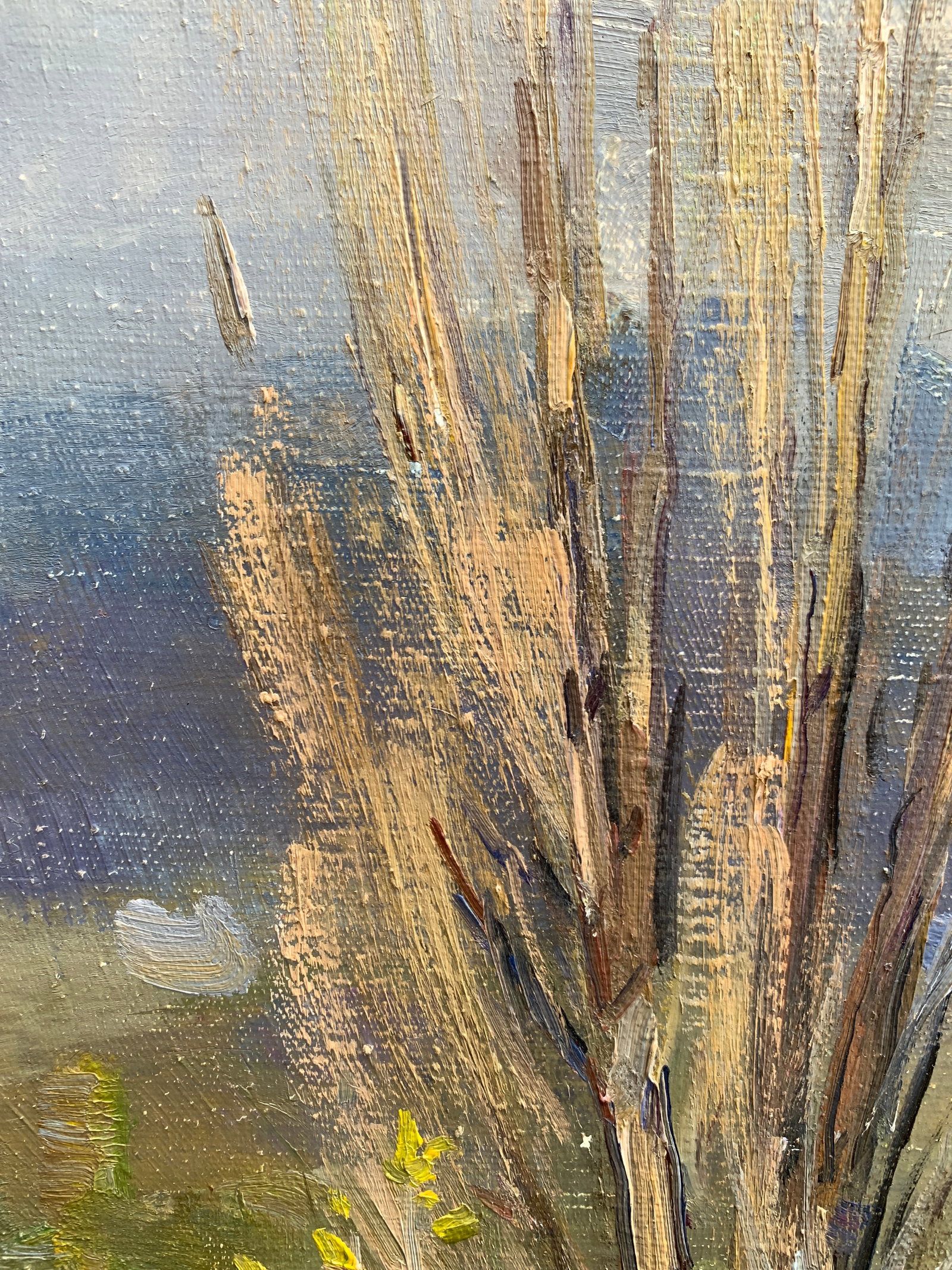 Oil painting Old poplar trees Strelov A. - 6