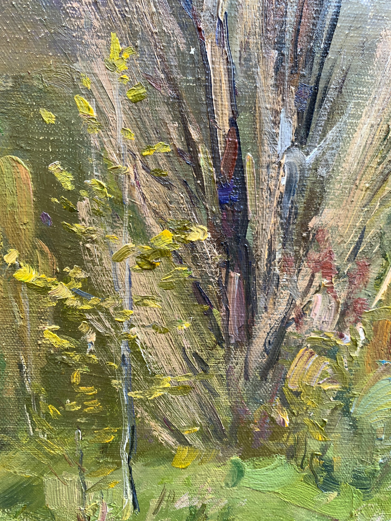 Oil painting Old poplar trees Strelov A. - 9