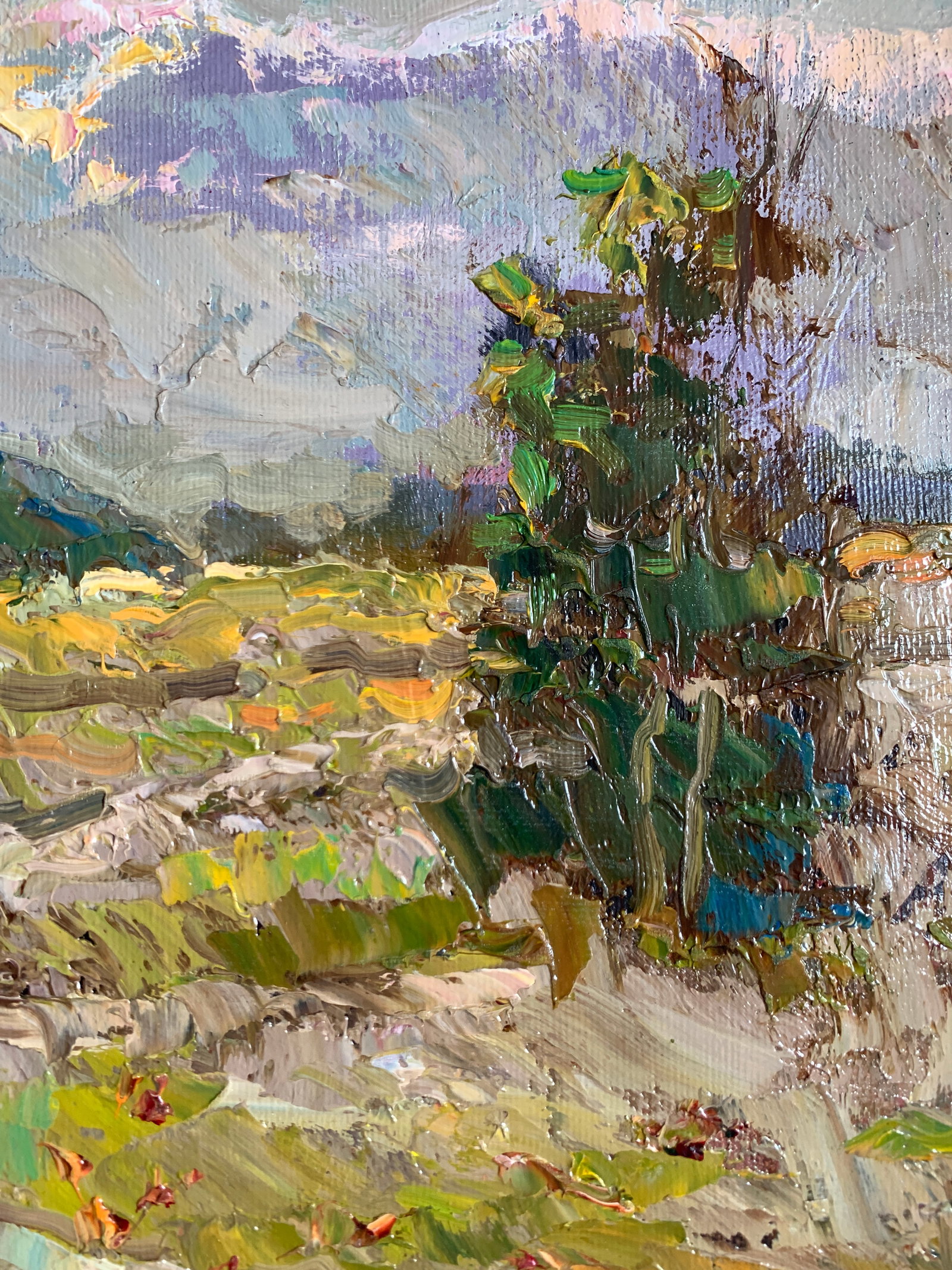 Oil painting collection of herbs Sergey Ivanovich Animov - 8