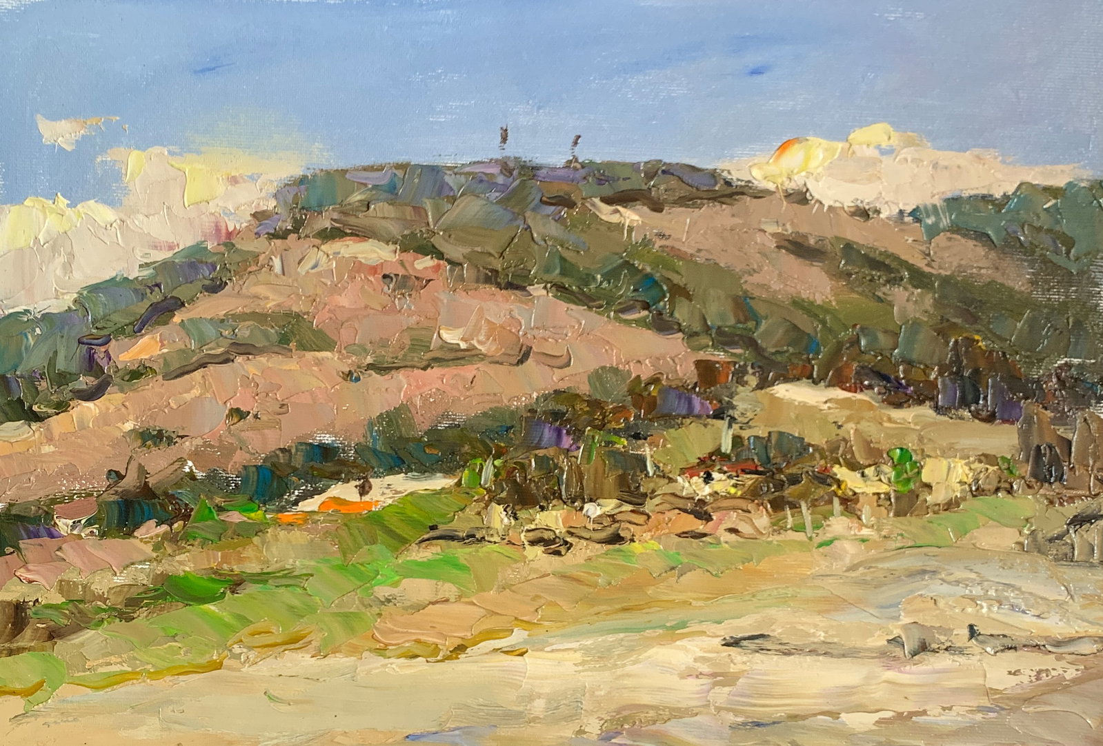 Oil painting touching the clouds Sergey Ivanovich Animov: 350DDD Painter: Sergey Ivanovich Animov S?ze: 26x37 cm/10.23x14.56 inches Components: canvas, oil Original painting from our collection ERA: modern About the artist: Serhiy Ivanovych was born on May