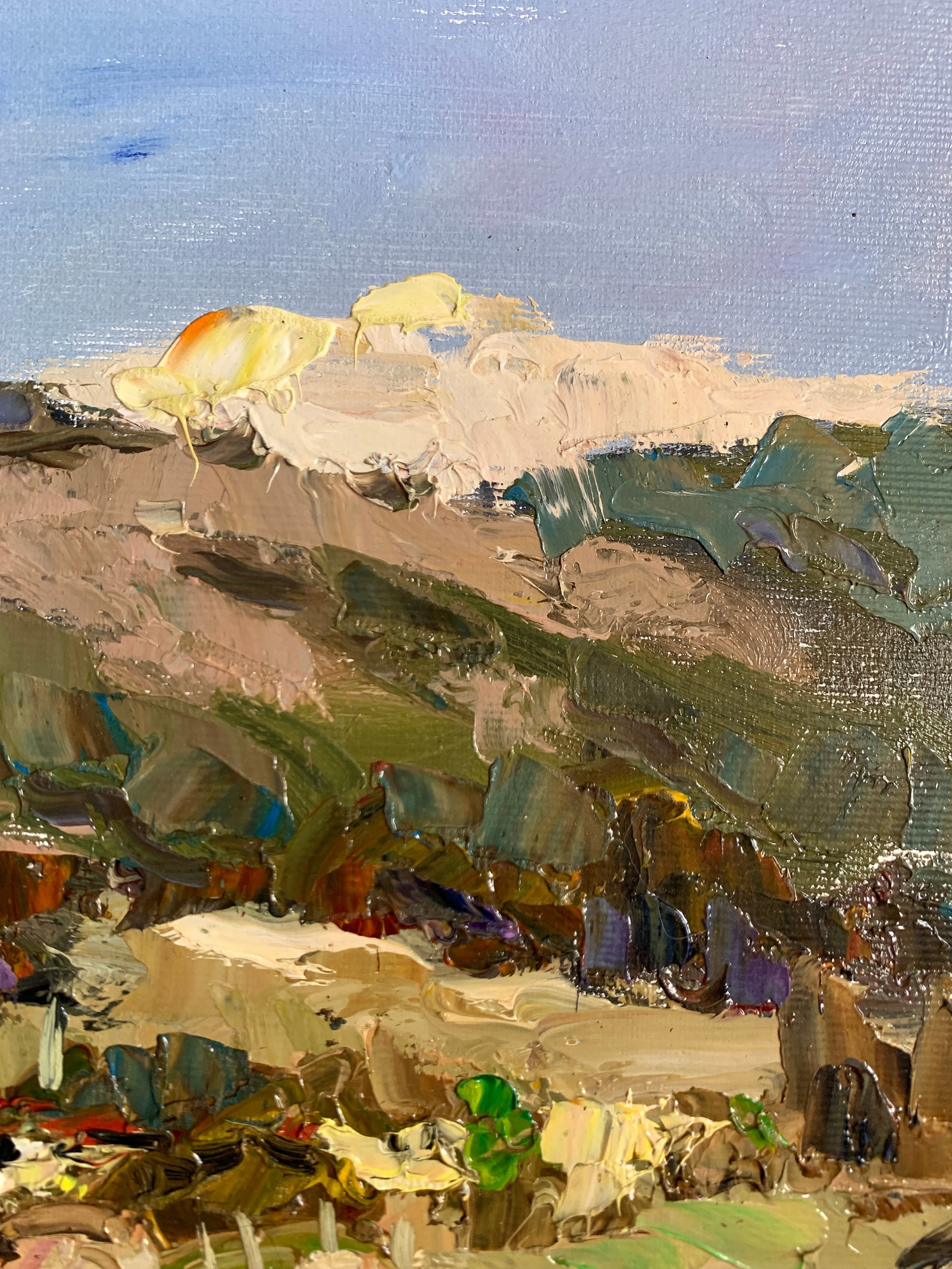 Oil painting touching the clouds Sergey Ivanovich Animov - 8