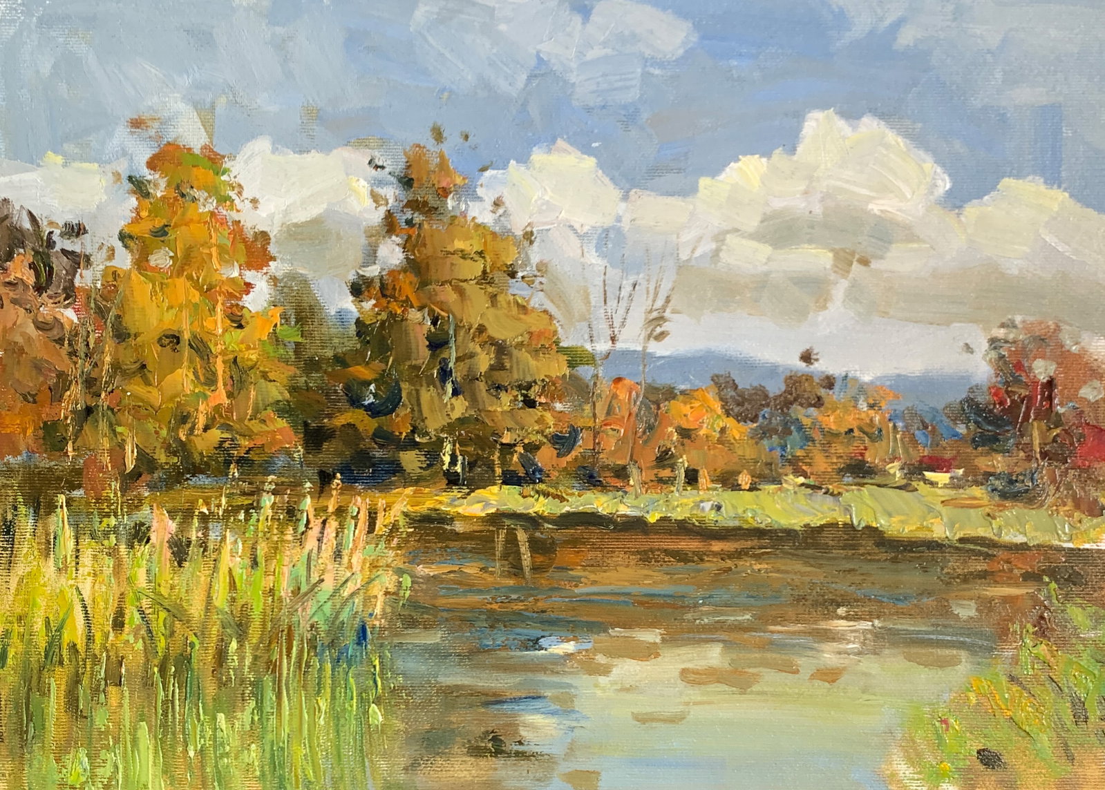 Oil painting between reeds Sergey Ivanovich Animov: 351DDD Painter: Sergey Ivanovich Animov S?ze: 27x38 cm/10.62x14.96 inches Components: canvas, oil Original painting from our collection ERA: modern About the artist: Serhiy Ivanovych was born on May