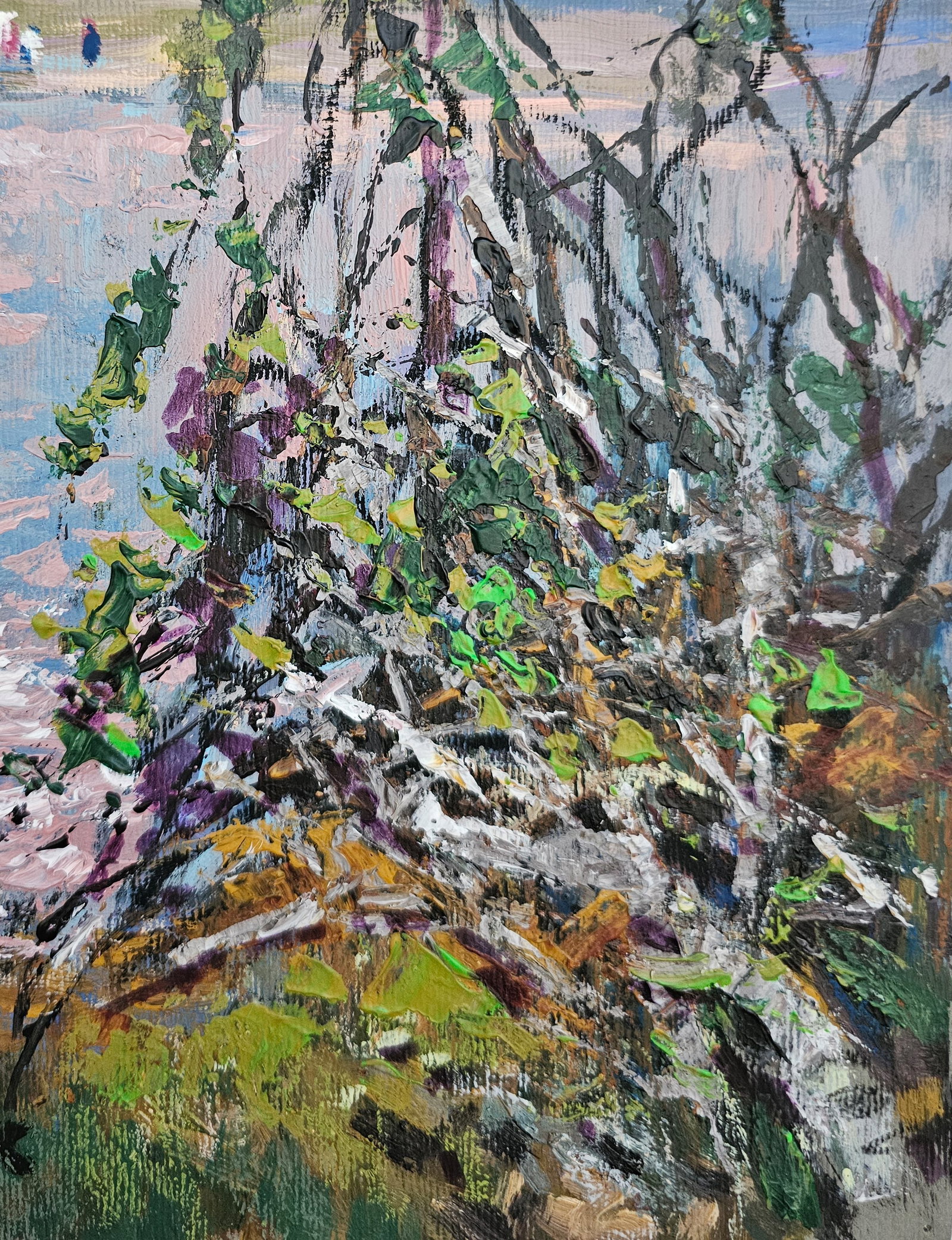 Acrylic painting on the river Vyacheslav Petrovich Babac - 6