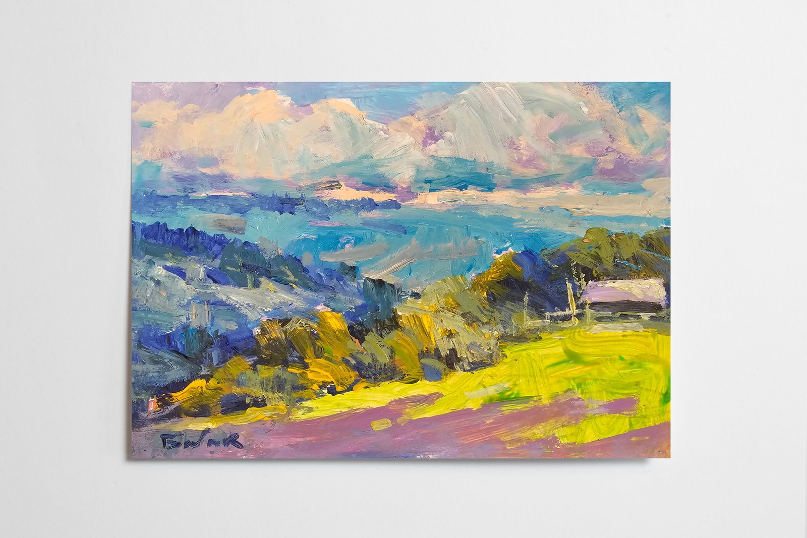 Acrylic painting Carpathian panorama Vyacheslav Petrovich Babac - 10