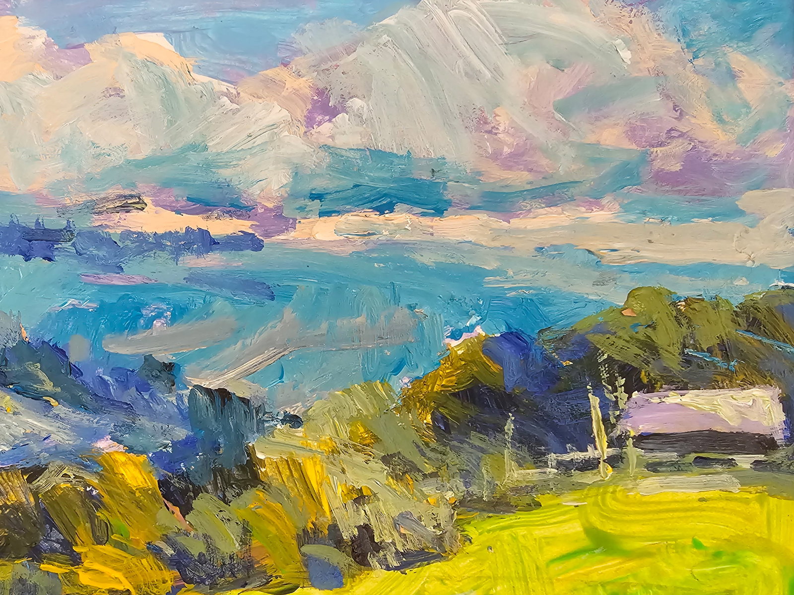 Acrylic painting Carpathian panorama Vyacheslav Petrovich Babac - 4