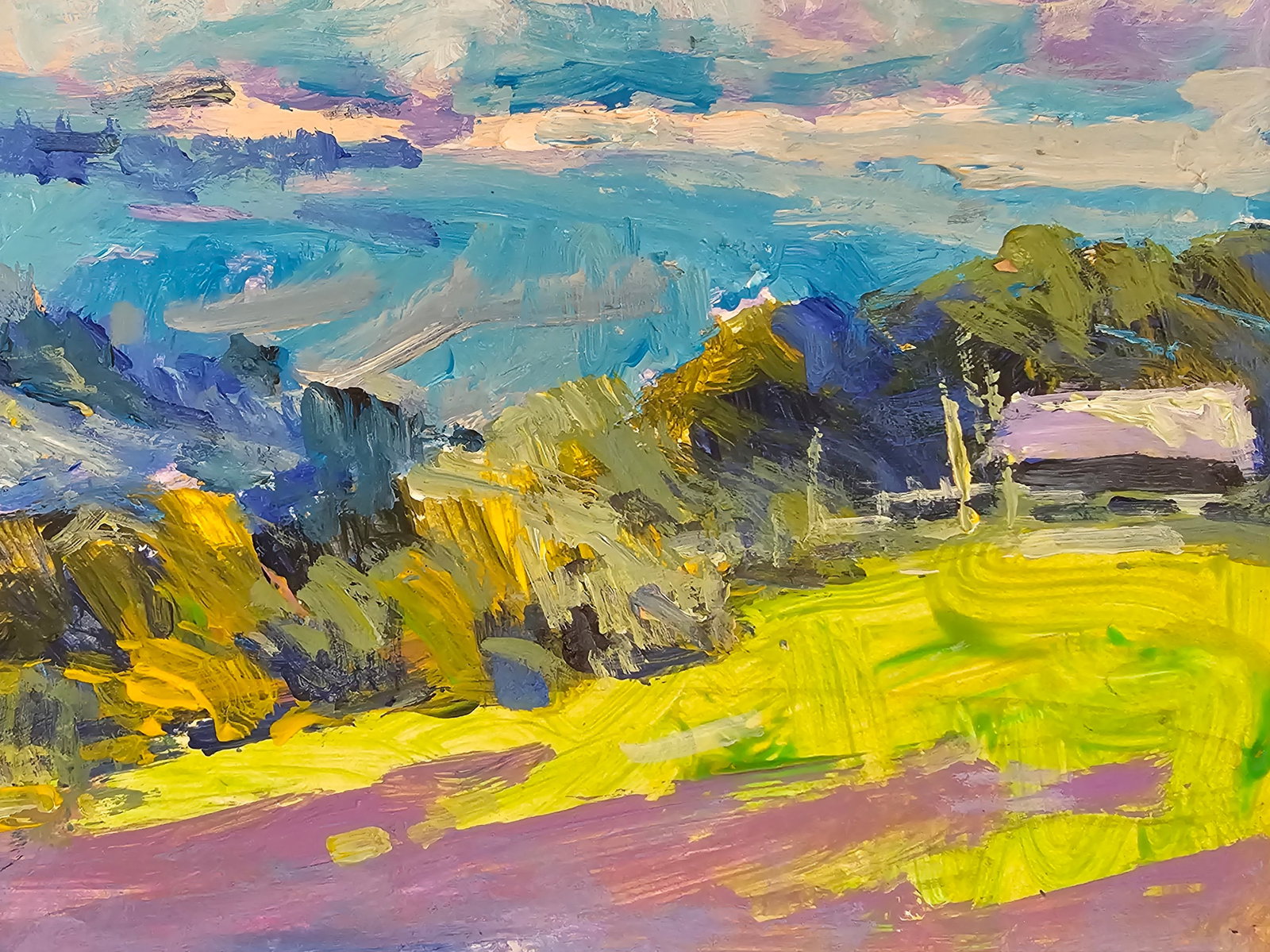 Acrylic painting Carpathian panorama Vyacheslav Petrovich Babac - 6
