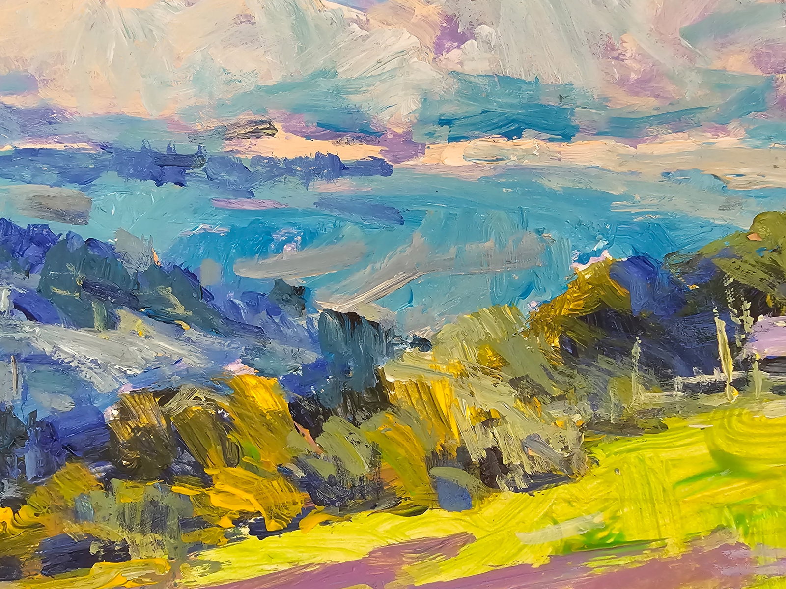 Acrylic painting Carpathian panorama Vyacheslav Petrovich Babac - 7