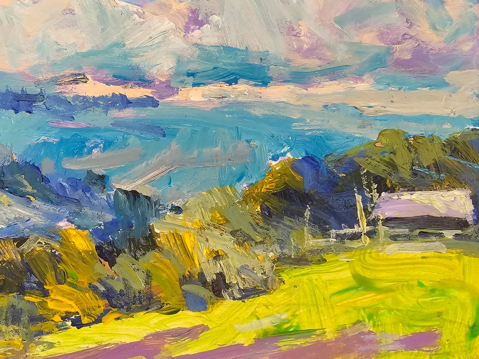 Acrylic painting Carpathian panorama Vyacheslav Petrovich Babac - 9