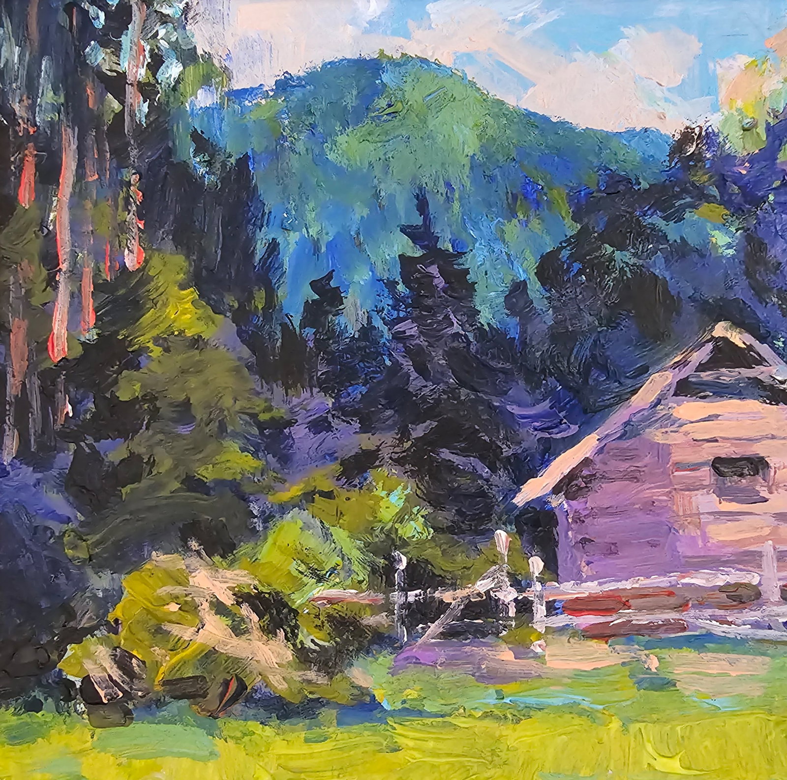 Acrylic painting carpathian cabin Vyacheslav Petrovich Babac - 3