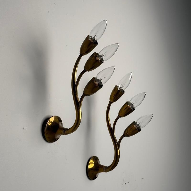 Gio Ponti Attr., Italian Mid-Century Modern, Wall Sconces, Brass, Flower Shape - 8