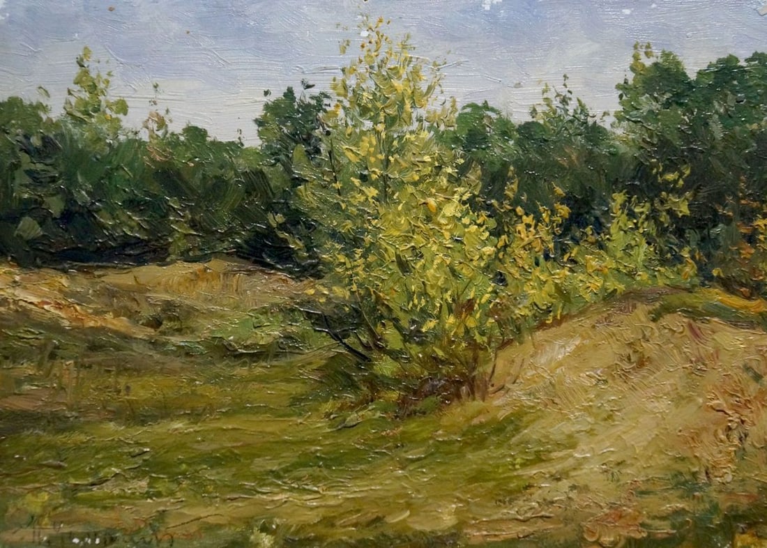 Oil painting Forest landscape Chernyshevsky Petr Akimovich: No.Verns 1064 *** ABOUT THIS PAINTING *** * TITLE: "Forest landscape" * ARTISTS: Chernyshevsky Petr Akimovich * SIZE: 18x25 cm/7.08x9.84 inches' * MEDIUM: oil, cardboard * HAND PAINTED: Original paint