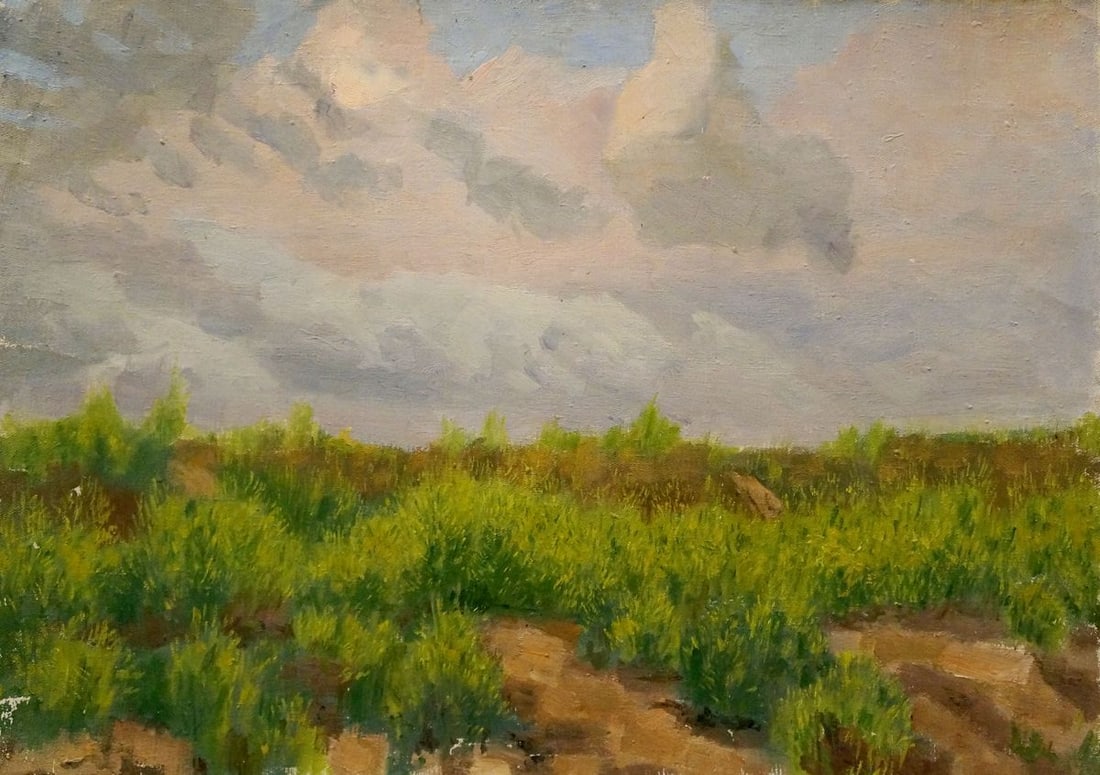Oil painting After the rain Chernikov Nikolay Vladimirovich: No.Verns 1163 *** ABOUT THIS PAINTING *** * TITLE: "After the rain" * ARTISTS: Chernikov Nikolay Vladimirovich * SIZE: 54x70 cm/21.25x27.55 inches' * MEDIUM: oil, canvas * HAND PAINTED: Original paint