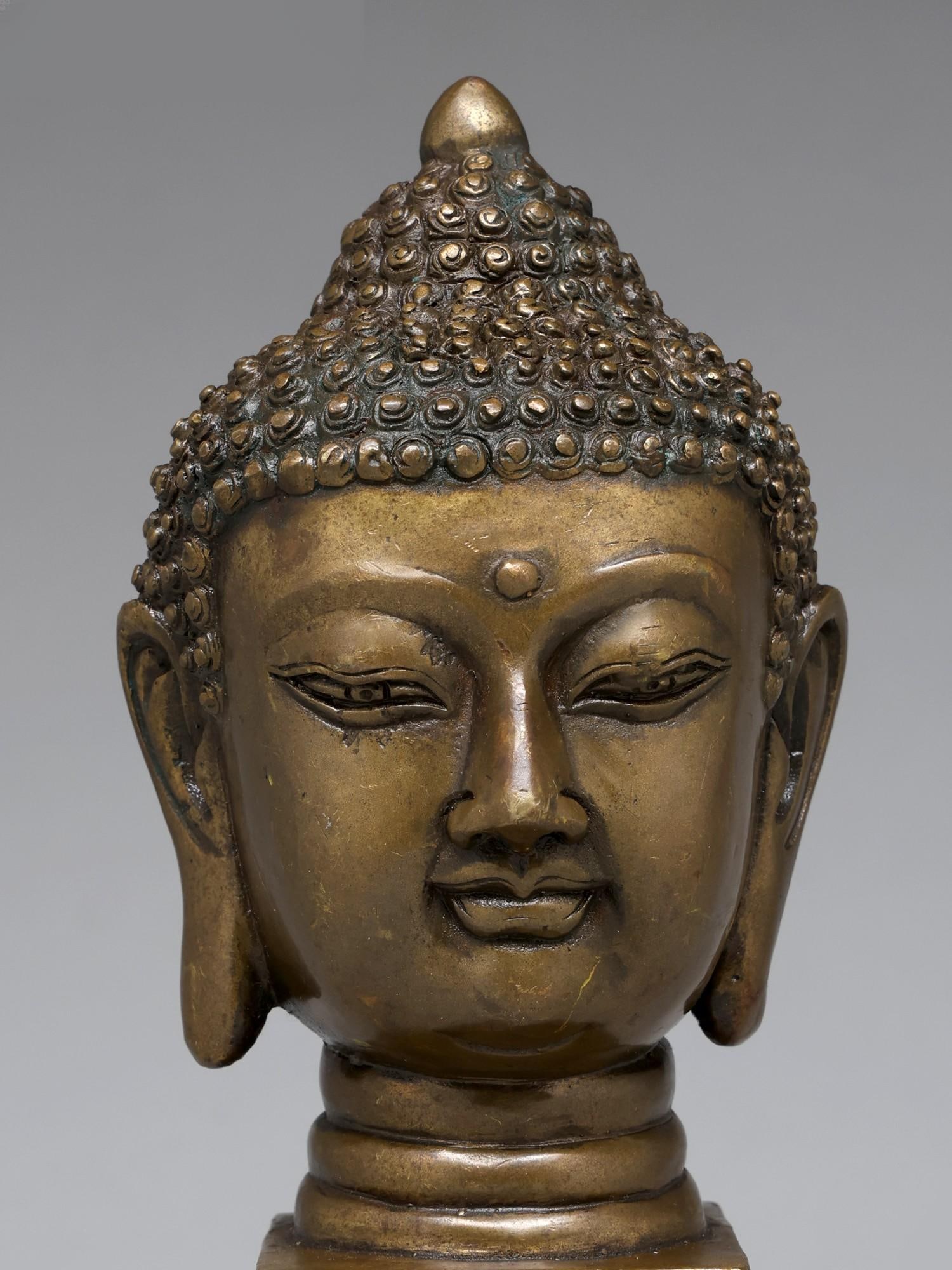 8" Lord Buddha Head | Bronze Statue - 2