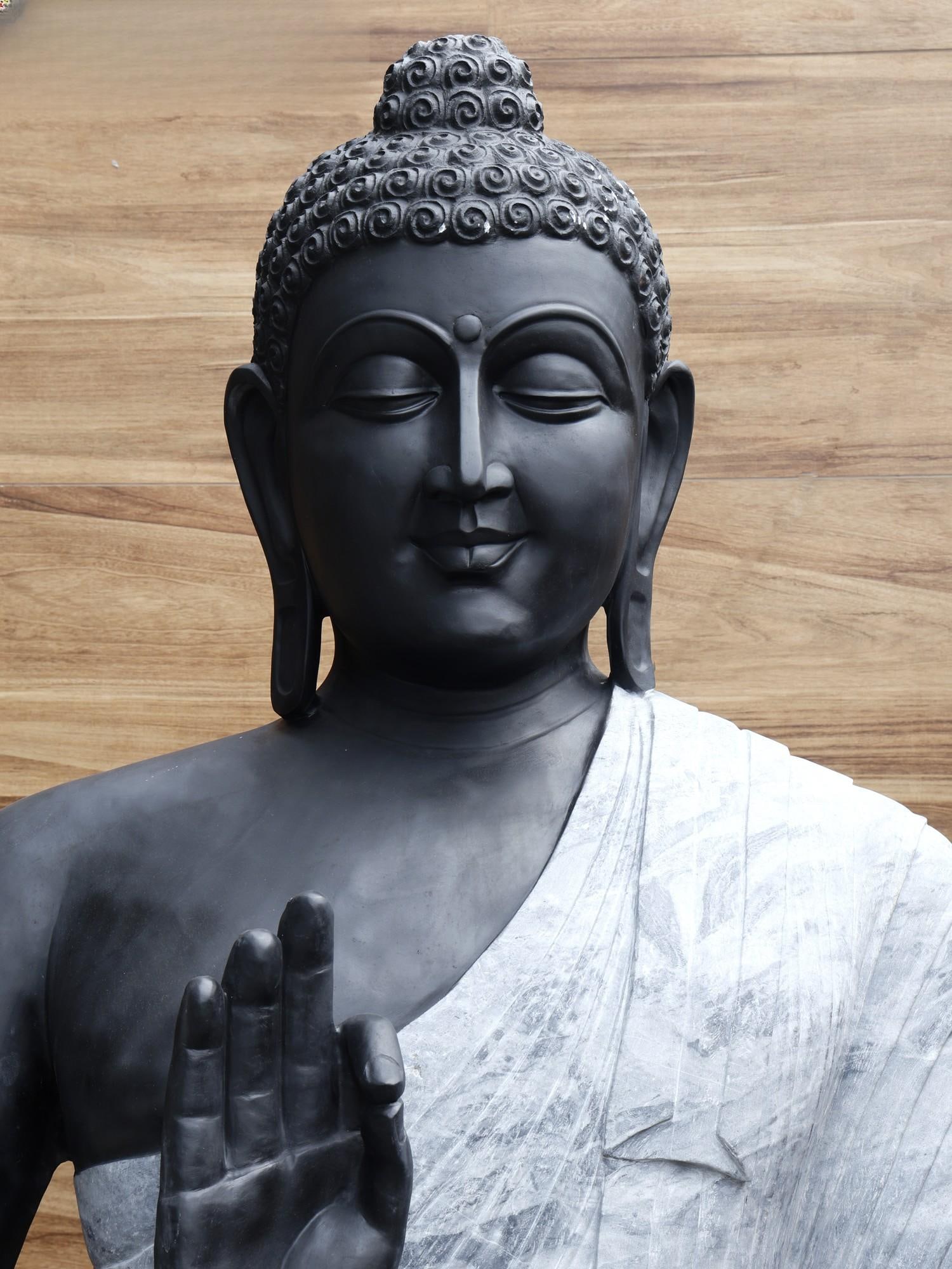 108" (9 Feet) Super Large Lord Buddha Preaching His Dharma /Black Marble Sculpture /Shipped by Sea - 2