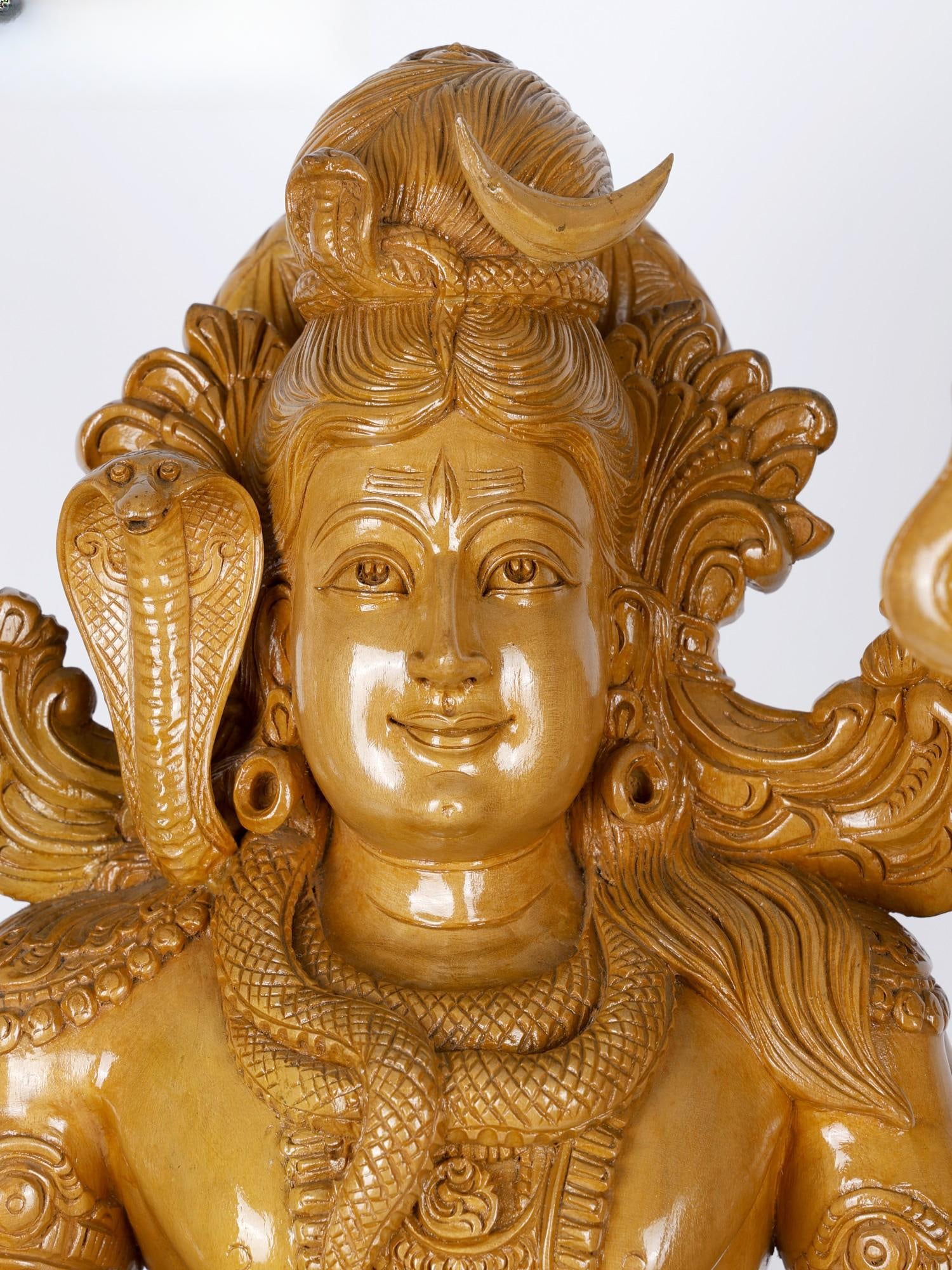 The Brilliant Lord Shiva - 2