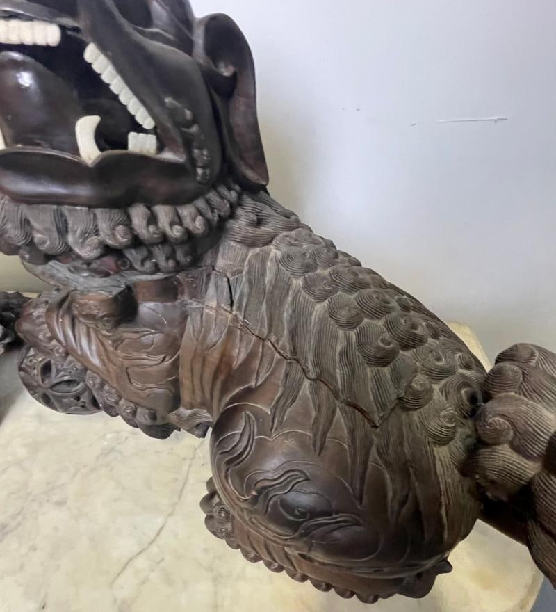 Pair of 18th/19th Century Solid Teak Foo Dogs, Opposing, Statuary, - 3