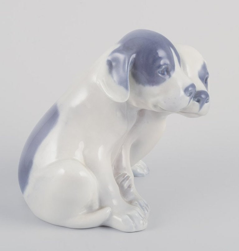 Royal Copenhagen. Porcelain figurine of two Pointer puppies. Circa 1930. - 4