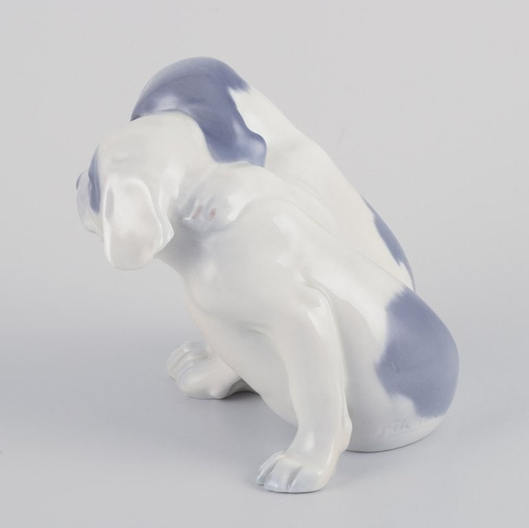 Royal Copenhagen. Porcelain figurine of two Pointer puppies. Circa 1930. - 5