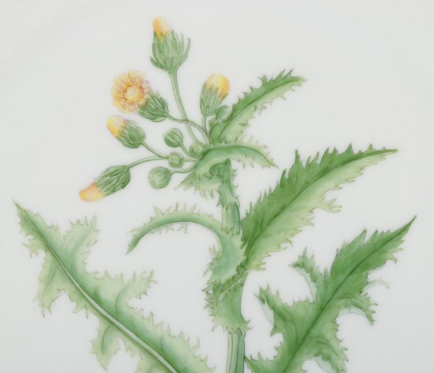 Royal Copenhagen Flora Danica. Lunch plate in hand-painted porcelain. 1960. - 4