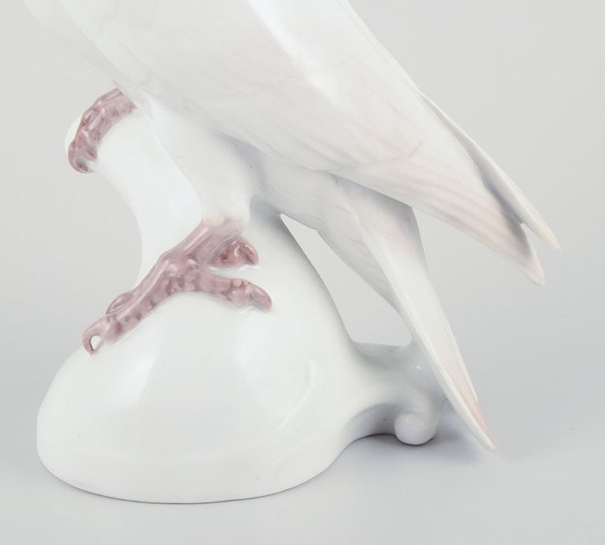 Rosenthal, Germany. Cockatoo in porcelain. Art Deco. Ca. 1930s. - 4