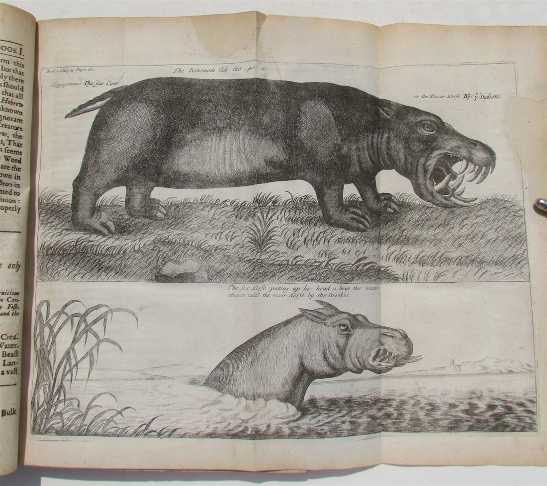 1682 HISTORY of ETHIOPIA KINGDOM OF ABESSINIA ILLUSTRATED antique in ENGLISH: A NEW HISTORY OF ETHIOPIA. BEING A FULL AND ACCURATE DESCRIPTION OF THE KINGDOM OF ABESSINIA, Vulgarly, though erroneously called the Empire of Prester John. I. An Account of the Nature, Quality, and 