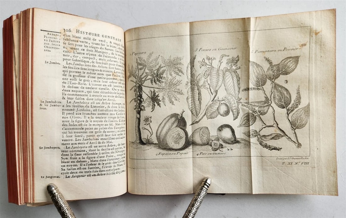 1753 HISTOIRE des VOYAGES antique Vol.44 EAST INDIES TRAVELS illustrated - 11