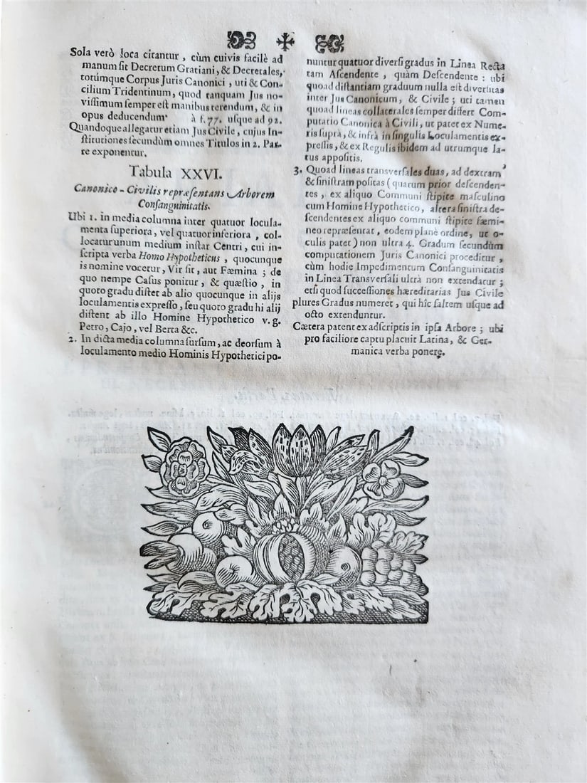 1708 CANON LAW by Jakob Wex antique PIGSKIN BOUND FOLIO in LATIN - 6