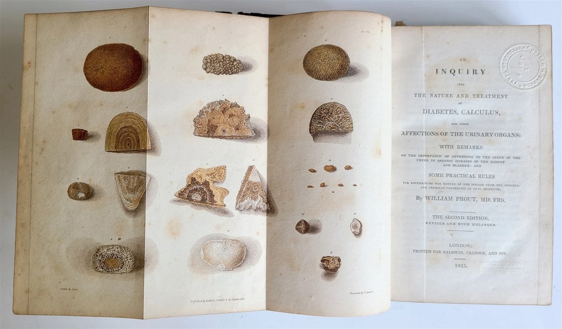 1825 NATURE TREATMENT of DIABETES CALCULUS AFFECTIONS of URINARY ORGANS antique (1 of 6)